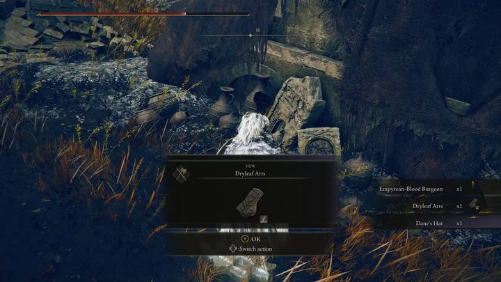 Po pokonaniu Danea podnieście upuszczone przez niego przedmioty - Shadow of the Erdtree: Dane, Suchy Liść - solucja, opis przejścia - Elden Ring - poradnik do gry