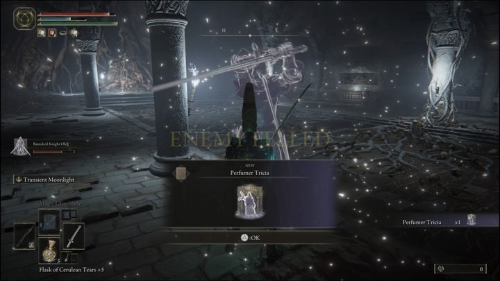 Za pokonanie ich otrzymacie prochy ducha, Perfumiarkę Tricię (Perfumer Tricia) oraz 9400 Run - Elden Ring: Tricia, perfumiarz (Perfumer Tricia) i Lwi wynaturzeniec (Misbegotten Warrior) - boss, jak pokonać? - Elden Ring - poradnik do gry