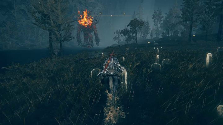 Od docelowego regionu dzieli już Was w zasadzie kawałeczek otwartej przestrzeni - Shadow of the Erdtree: Jak dotrzeć na południowy skraj mapy? - Elden Ring - poradnik do gry