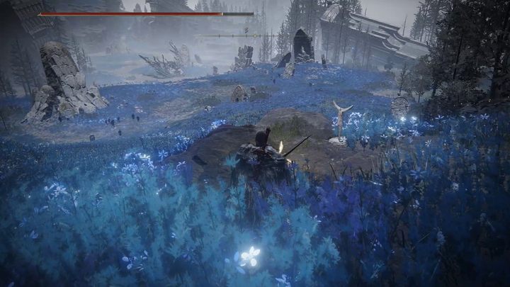 Po przejściu pod skalnym łukiem, dotrzecie wreszcie do upragnionego regionu - Shadow of the Erdtree: Jak dotrzeć na południowy skraj mapy? - Elden Ring - poradnik do gry