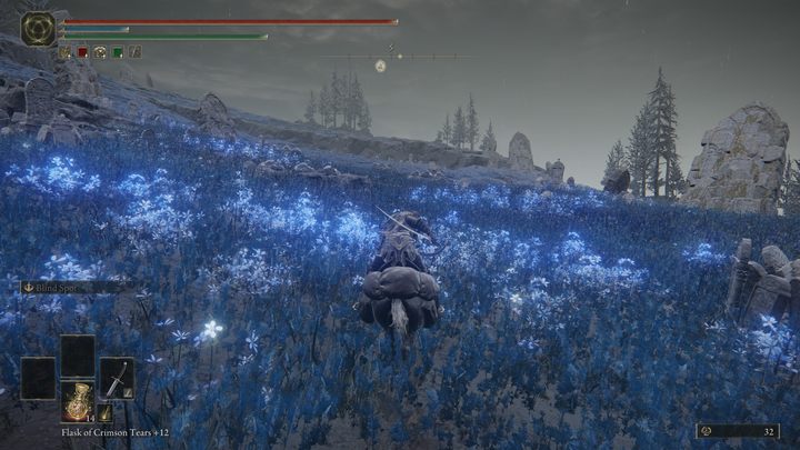 Na południowym krańcu Modrego wybrzeża, na niewielkim cypelku czeka na Was Szczelina - charakterystyczna lokacja prowadząca do podmorskiego systemu jaskiń - Shadow of the Erdtree: Jak dotrzeć na południowy skraj mapy? - Elden Ring - poradnik do gry