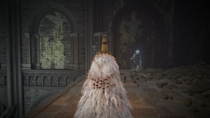 Przed podjęciem próby znalezienia Rycerza Ognia Queelign, upewnijcie się, że posiadacie jakąkolwiek Tęczówkę (Iris), gdyż będzie ona wymagana, aby ukończyć zadanie - Shadow of the Erdtree: Rycerz ognia Queelign - solucja, opis przejścia - Elden Ring - poradnik do gry