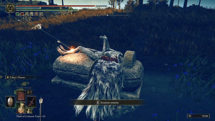 6 - Shadow of the Erdtree: Jak duplikować wizerunki w DLC? - Elden Ring - poradnik do gry