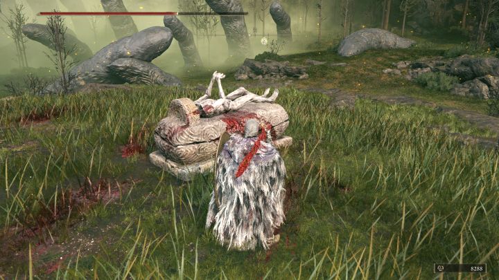 8 - Shadow of the Erdtree: Jak duplikować wizerunki w DLC? - Elden Ring - poradnik do gry