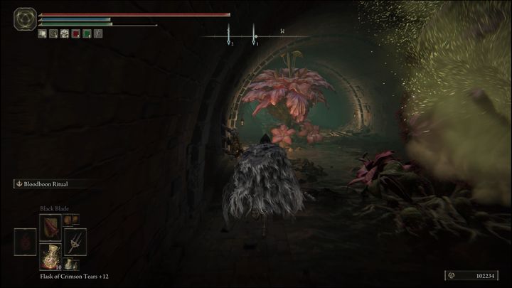 Znajdziecie się w kanałach - Elden Ring: Łajnożerca (Dung Eater) / Szubrawiec Boggart (Blackguard Boggart) - solucja, opis przejścia - Elden Ring - poradnik do gry
