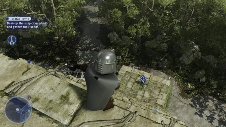 Zeskoczcie na niższy teren świątyni i zbierzcie kolejne nasiona - LEGO Skywalker Saga: Halucynogenna histeria (Run Run Runyip) - solucja, opis przejścia - LEGO Skywalker Saga - poradnik do gry