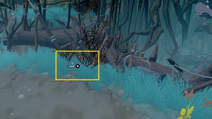 Lokacja za bagnami (Swamp) - Dobhar-chus Lair - jest jedną z tych, które zamknięte są na klucz i należą do lokacji zdobywanych pod koniec gry - The Serpent Rogue: World Tomes - strony dziennika - The Serpent Rogue - poradnik do gry