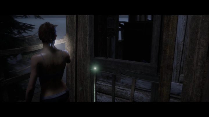 Rozdział gry: Rozdział 4 - The Quarry: Historia Hackettów - wskazówki, lokacja i lista wszystkich kart - The Quarry - poradnik do gry