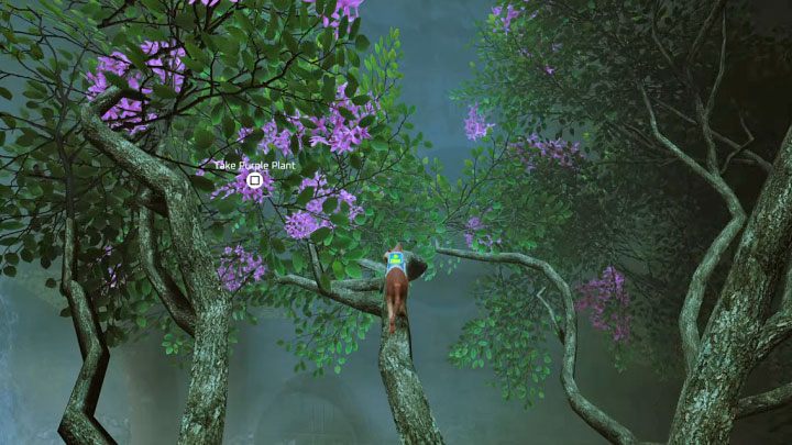 Фиолетовое растение растет на дереве, на которое вы можете запрыгнуть, исследуя нижние уровни деревни (изображение 1) - Stray: Badges - список всех - Stray Game Guide