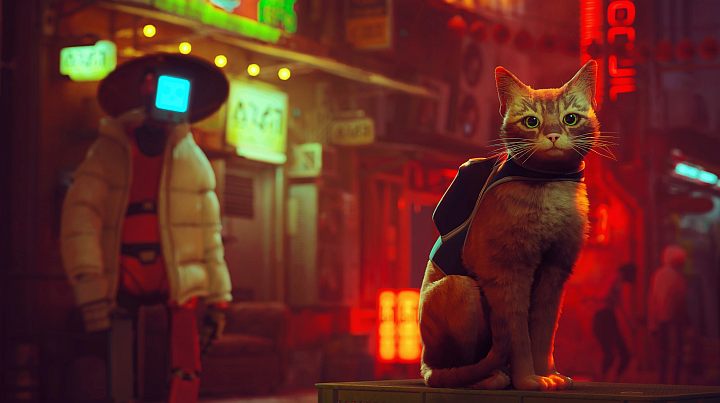 Gra Stray w dniu swojej premiery (19 lipca 2022 roku) będzie dostępna na 3 platformach sprzętowych - Stray: PC i PS4 - czy gra ukaże się na inne platformy? - Stray - poradnik do gry