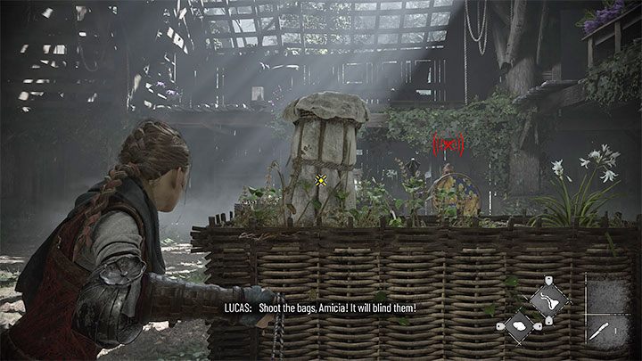 Pojawi się pierwszy przeciwnik z tarczą - Plague Tale Requiem: Uratowanie Lucasa (Find and rescue Lucas) - solucja, opis przejścia - A Plague Tale Requiem - poradnik do gry