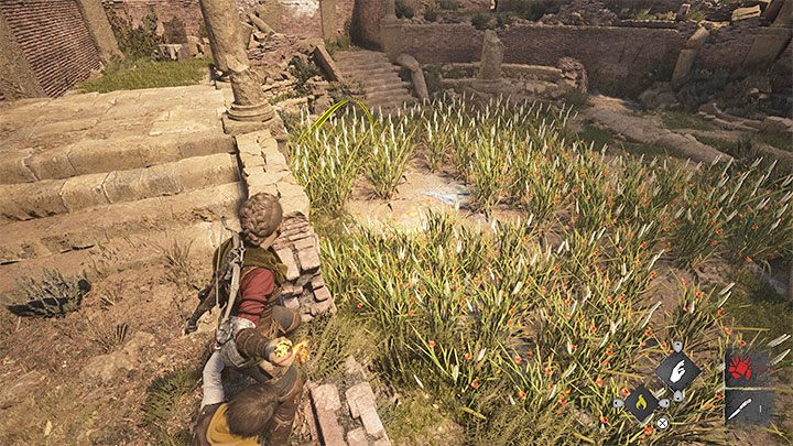 W ruinach antycznego teatru zauważycie symbole namalowane na ziemi - Plague Tale Requiem: Eksploracja wyspy (Explore the island) - solucja, opis przejścia - A Plague Tale Requiem - poradnik do gry