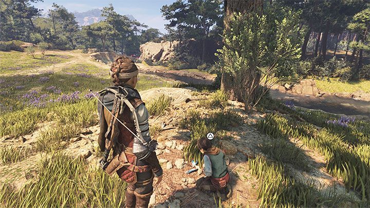 Po dotarciu do drzewa bohaterowie znajdą pióro pozostawione przez jeden z lokalnych gatunków ptaków - Plague Tale Requiem: Rozdział 6 (Zostawić wszystko za sobą) - lista sekretów - A Plague Tale Requiem - poradnik do gry