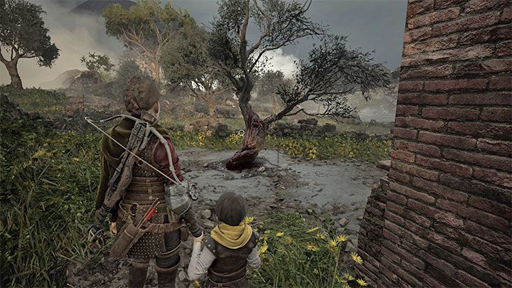 Dotrzecie do drzewa, przy którym bohaterowie znajdą szmacianą lalkę - Plague Tale Requiem: Rozdział 10 (Rodowód) - lista sekretów - A Plague Tale Requiem - poradnik do gry