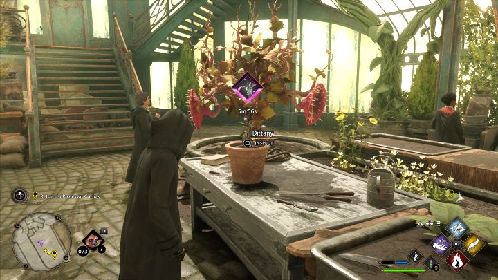 1 - Hogwarts Legacy: Zajęcia z zielarstwa (Herbology Class) - Hogwarts Legacy - poradnik do gry