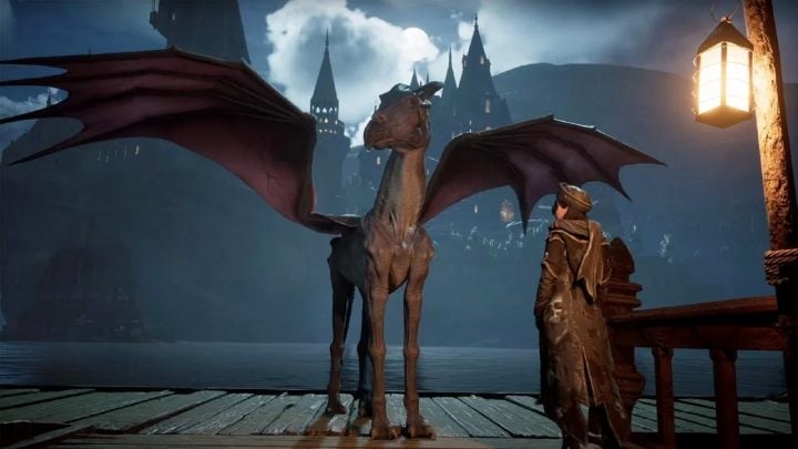 Przy zakupie edycji standardowej Hogwarts Legacy, po premierze gry, każdy będzie mógł dokupić Czarnomagiczny zestaw (Dark Arts Pack) zawarty w edycji Deluxe i kolekcjonerskiej - Hogwarts Legacy: Czy w grze są mikrotransakcje? - Hogwarts Legacy - poradnik do gry