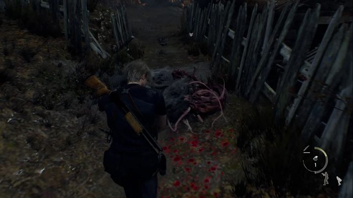 Po narażeniu na granat błyskowy pies będzie wił się na ziemi - jest to moment, aby szybko do niego podbiec i zaatakować nożem - Resident Evil 4 Remake: A Savage Mutt - Resident Evil 4 Remake - poradnik do gry