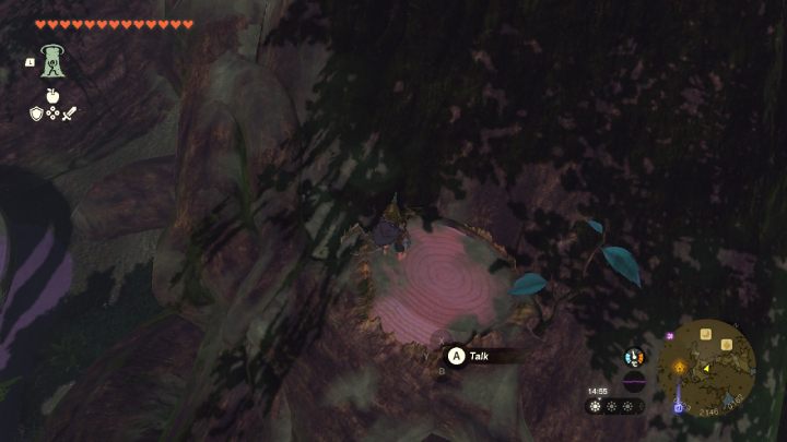Wejdźcie na korzenie wielkiego drzewa i odnajdźcie niewielki pień - Zelda TotK: Trail of the Master Sword - Zelda Tears of the Kingdom - poradnik do gry
