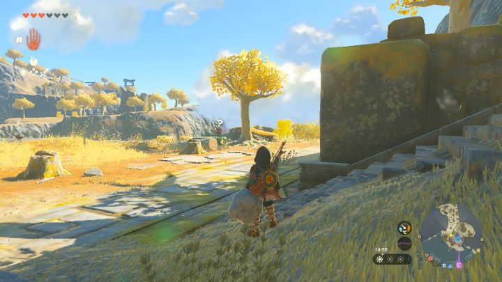 5 - Zelda Tears of the Kingdom: Wszystkie Shrines na Great Sky Island - Zelda Tears of the Kingdom - poradnik do gry