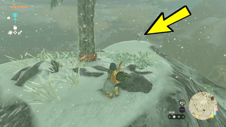Po wyjściu na zewnątrz musicie wspiąć się na pobliską górę, na której stoi samotna sosna - Zelda TotK: Tulin of Rito Village - opis przejścia - Zelda Tears of the Kingdom - poradnik do gry