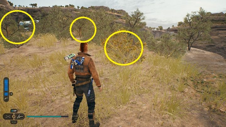 10 - Jedi Survivor: Nieokiełznane Zbocza - lista sekretów (część 1) - Star Wars Jedi Survivor - poradnik do gry