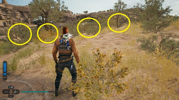 11 - Jedi Survivor: Nieokiełznane Zbocza - lista sekretów (część 1) - Star Wars Jedi Survivor - poradnik do gry