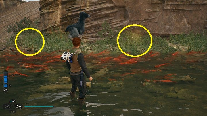 3 - Jedi Survivor: Koryto - lista sekretów - Star Wars Jedi Survivor - poradnik do gry