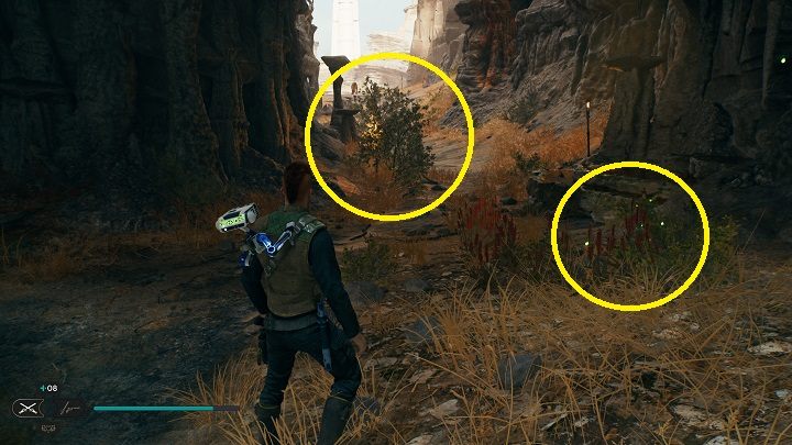 4 - Jedi Survivor: Strome Urwiska - lista sekretów - Star Wars Jedi Survivor - poradnik do gry