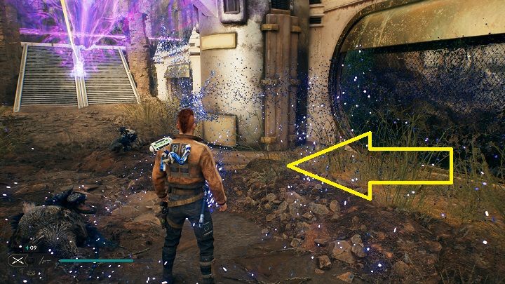 13 - Jedi Survivor: Leśny Węzeł - lista sekretów - Star Wars Jedi Survivor - poradnik do gry