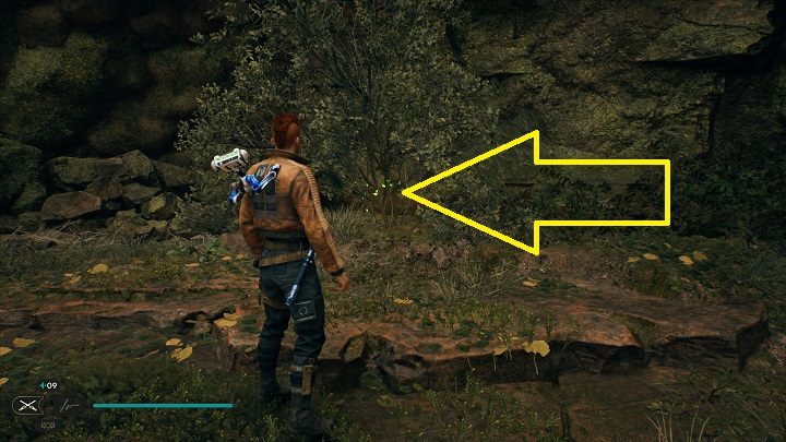 5 - Jedi Survivor: Baseny Nekko - lista sekretów - Star Wars Jedi Survivor - poradnik do gry