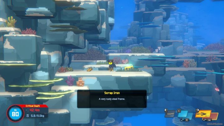 W trakcie nurkowania możecie przede wszystkim łowić ryby - zabijać je lub łapać żywcem - Dave the Diver: Porady na start - Dave the Diver - poradnik do gry