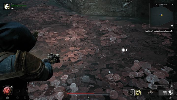 Co do samego bossa, jest on podatny na ataki od ognia, dlatego też warto wyekwipować broń lub weapon mod, który zadaje obrażenia od tego żywiołu - Remnant 2: Jak pokonać Kaeulas Shadow? - Remnant 2 - poradnik do gry
