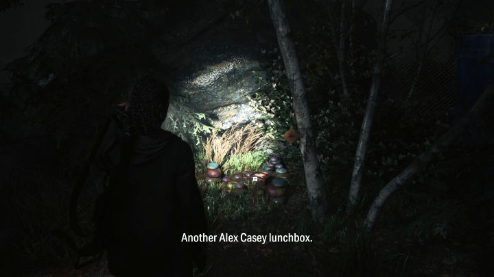 9 - Alan Wake 2: Wszystkie śniadaniówki z A. Caseyem - Watery - Alan Wake 2 - poradnik do gry