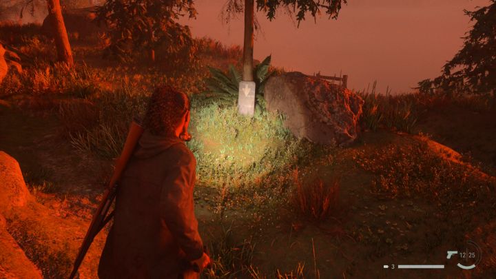 8 - Alan Wake 2: Wszystkie zagadki skrytek kultu w Bright Falls - Alan Wake 2 - poradnik do gry