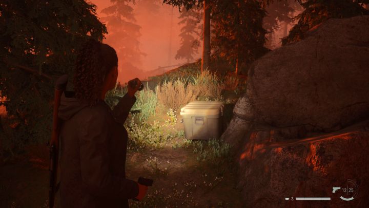 6 - Alan Wake 2: Wszystkie zagadki skrytek kultu w Bright Falls - Alan Wake 2 - poradnik do gry