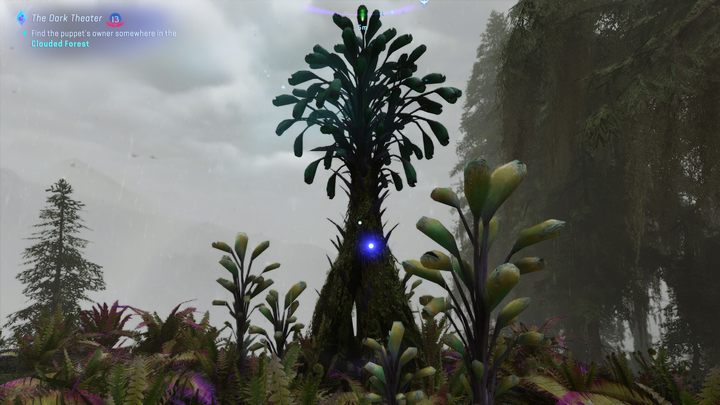 55 - Avatar Frontiers of Pandora: Wszystkie dzwonopędy - Chmurny Las - Avatar Frontiers of Pandora - poradnik do gry