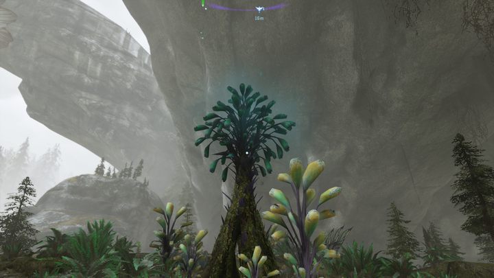 53 - Avatar Frontiers of Pandora: Wszystkie dzwonopędy - Chmurny Las - Avatar Frontiers of Pandora - poradnik do gry