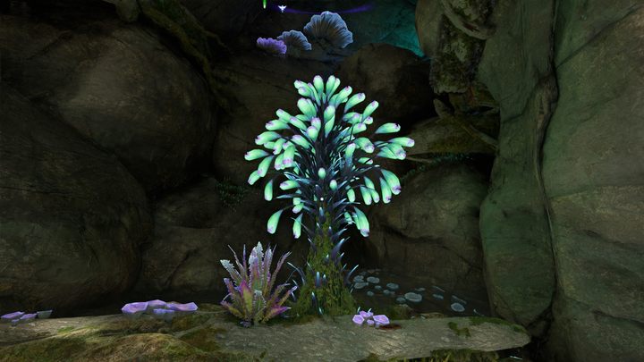 41 - Avatar Frontiers of Pandora: Wszystkie dzwonopędy - Chmurny Las - Avatar Frontiers of Pandora - poradnik do gry