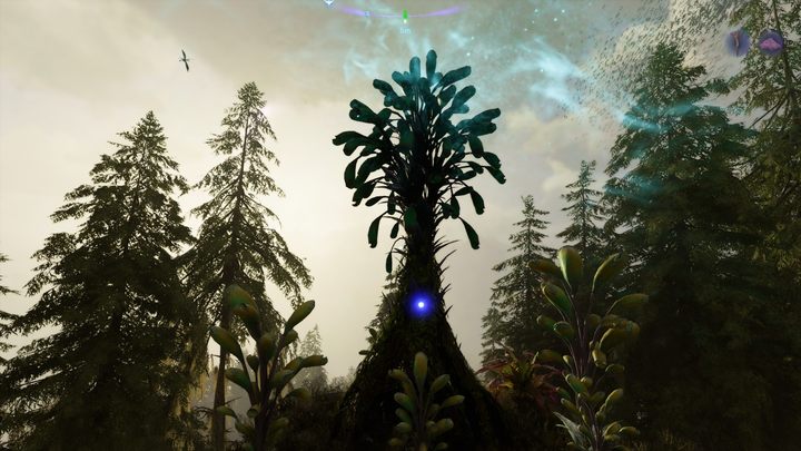 11 - Avatar Frontiers of Pandora: Wszystkie dzwonopędy - Chmurny Las - Avatar Frontiers of Pandora - poradnik do gry