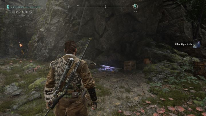 14 - Banishers: Wszystkie przeklęte skrzynie - Banishers Ghosts of New Eden - poradnik do gry