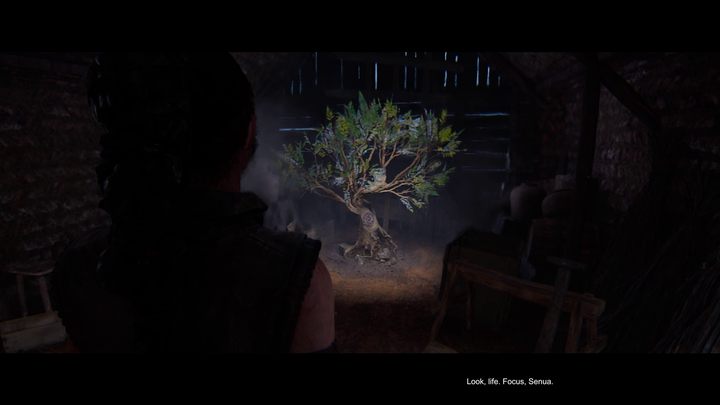 11 - Hellblade 2: Freyslaug Rozdział 2 - Hellblade 2 Senuas Saga - poradnik do gry