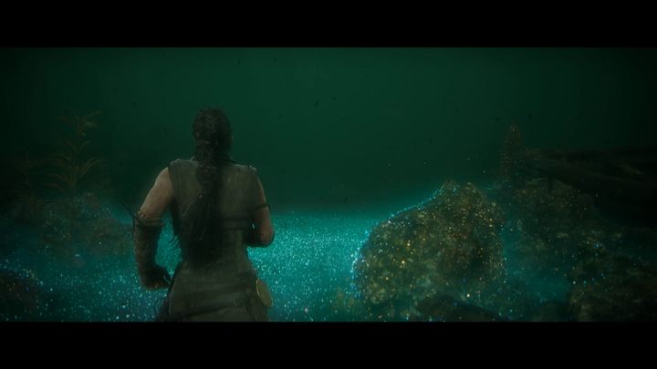 51 - Hellblade 2: Bardarvik Rozdział 5 - Hellblade 2 Senuas Saga - poradnik do gry