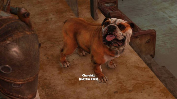 W grze nie znajdziecie osobnej animacji do pogłaskania psa - Fallout London: Jak adoptować psa Churchilla? - Fallout London - poradnik do gry