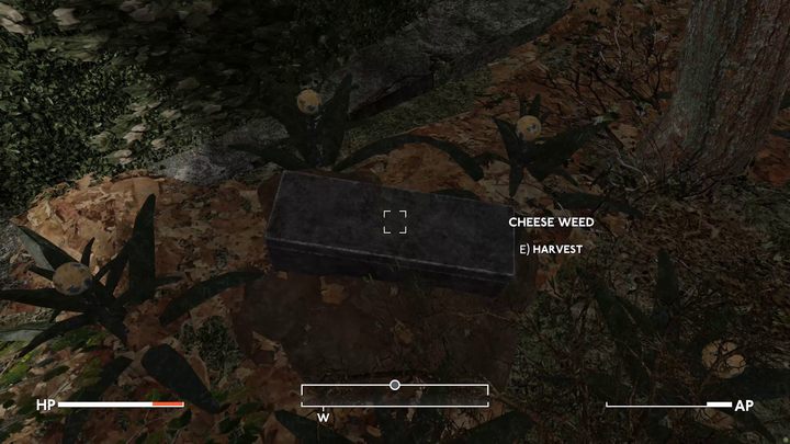 Skrzynia z zaopatrzeniem Lazarusa znajduje się pomiędzy dwoma drzewami, na przykościelnym cmentarzu, wokół kwiatów Cheese Weed - Fallout London: Cold Case - Fallout London - poradnik do gry
