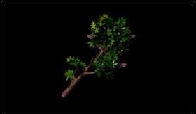 7 - 6. Indianin, zakonnica i palec - cz.1 - Runaway: A Road Adventure - poradnik do gry