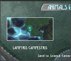 Gorzej będzie ze świetlikami przy drzewie - 04 Lighthouse | Beyond Good & Evil - Beyond Good & Evil - poradnik do gry