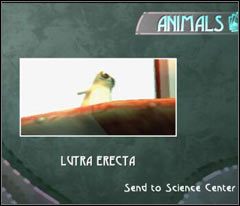 Wracaj na samą górę latarni - 04 Lighthouse | Beyond Good & Evil - Beyond Good & Evil - poradnik do gry