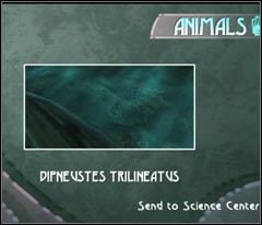 Zanim cokolwiek zrobisz podejdź do wody i wyciągnij aparat - 04 Lighthouse | Beyond Good & Evil - Beyond Good & Evil - poradnik do gry