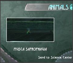 Zanim w ogóle ruszysz do właściwej kopalni wyjmij aparat i zrób zdjęcie latającemu tu owadowi - 09 Black Isle | Beyond Good & Evil - Beyond Good & Evil - poradnik do gry