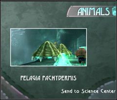 Kawałek dalej wpadniesz na nieco mocniejsze meduzy (z charakterystyczną skorupą) - 11 Black Isle | Beyond Good & Evil - Beyond Good & Evil - poradnik do gry